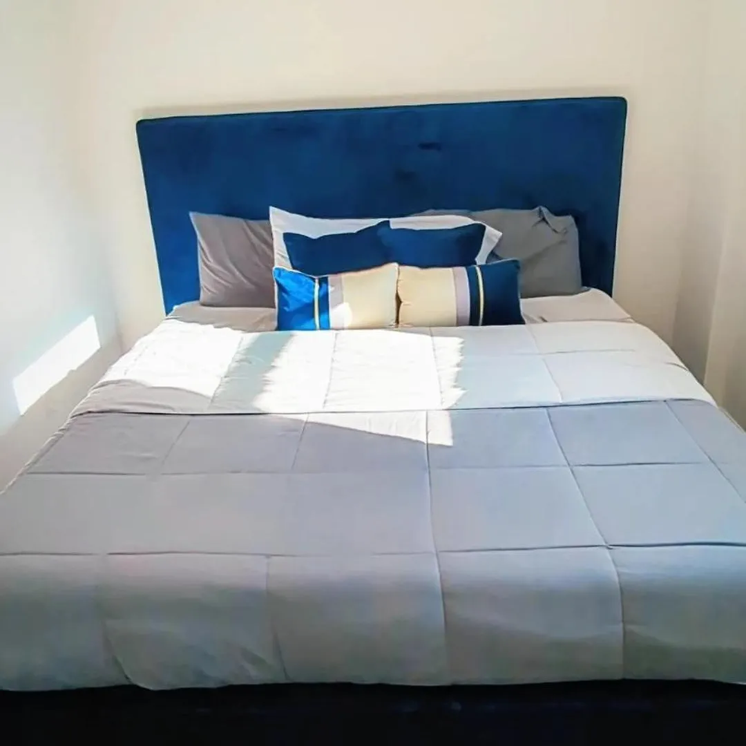 Garden Level Gem Of A 1Br Suite! Charlotte Apartment
